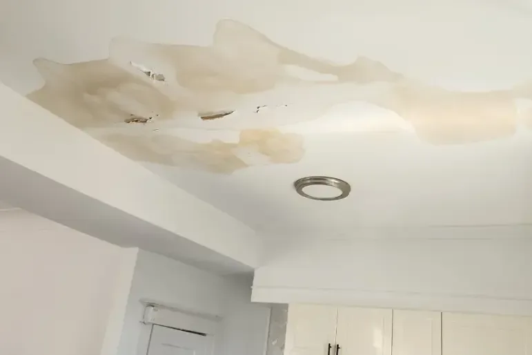Water stains spreading across a ceiling around a light fixture after a leak