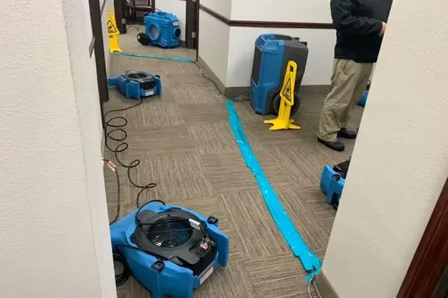 Air movers drying wet carpet along a hallway