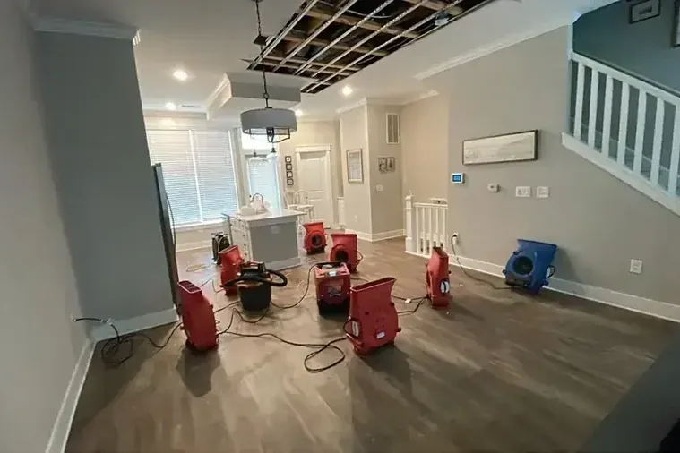 Air movers set to dry the floors and walls of a room